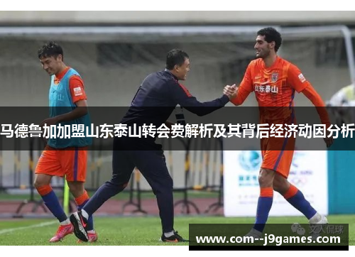 马德鲁加加盟山东泰山转会费解析及其背后经济动因分析